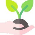 Organic Food