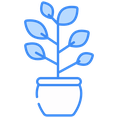 PLANTS
