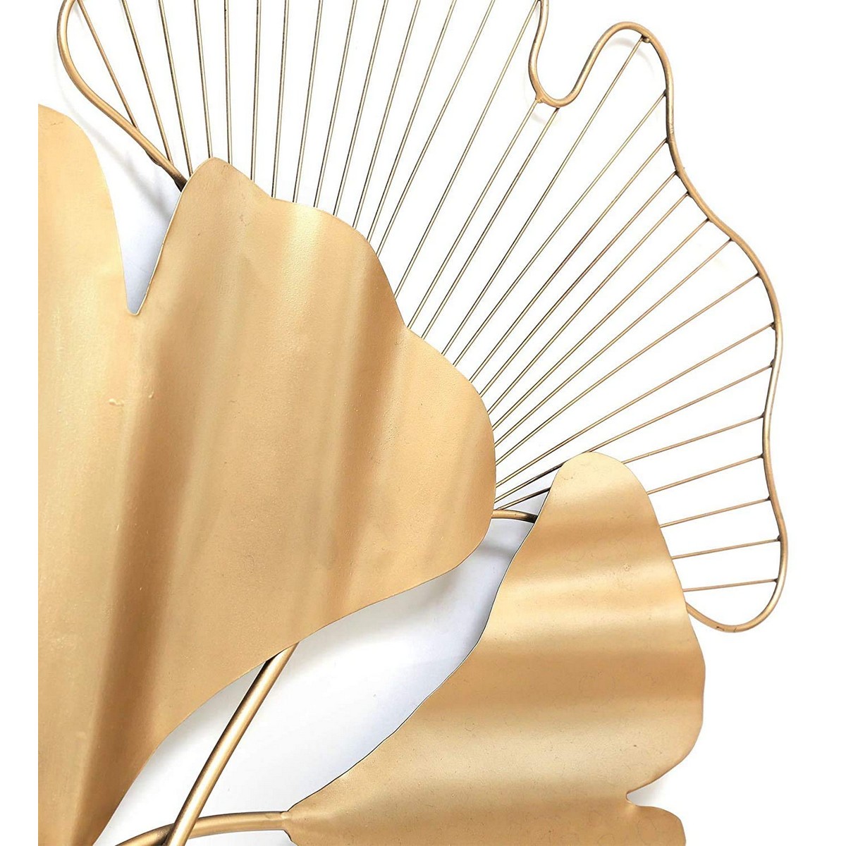 6 Zingo Designed for Wall Decoration