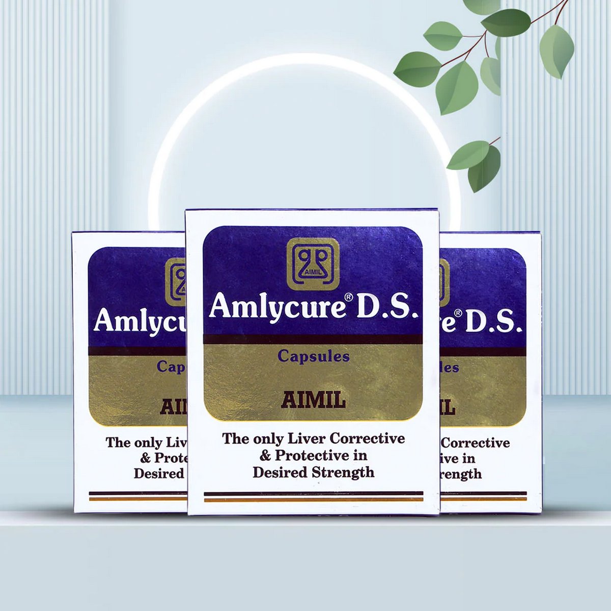 Aimil Amlycure DS Capsule
