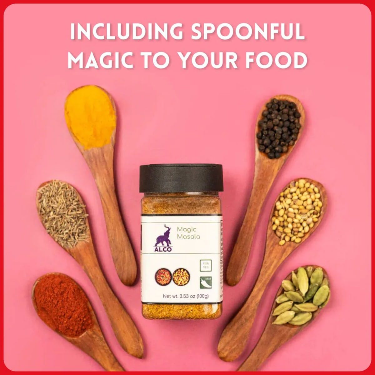 Alco Foods Magic Masala (100 grams)