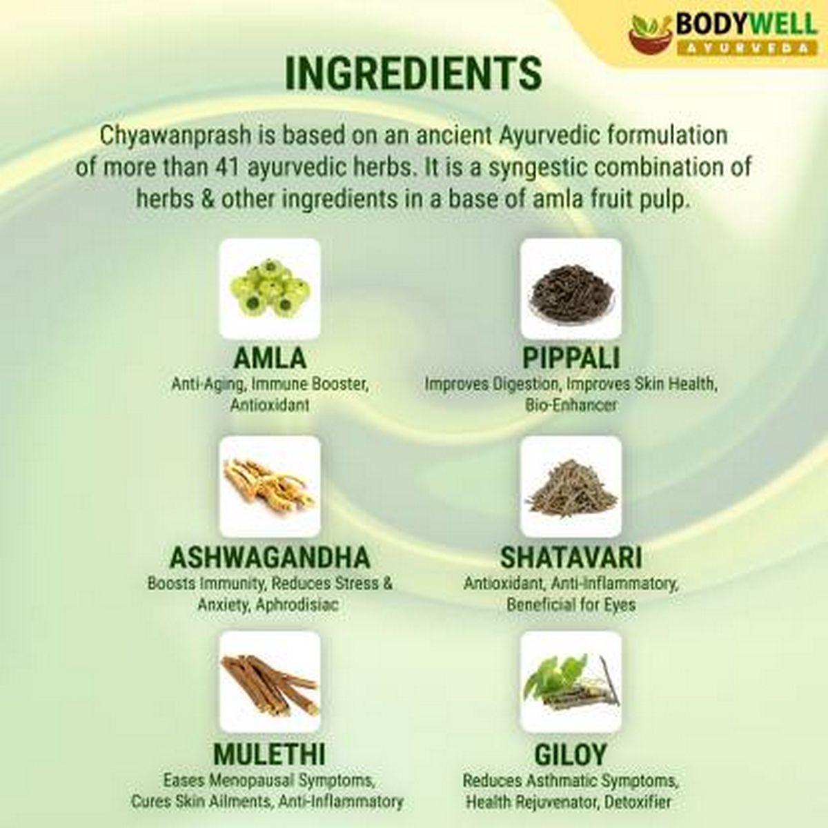 Bodywell Chyawanprash with Ayurvedic Herbs (600gm)
