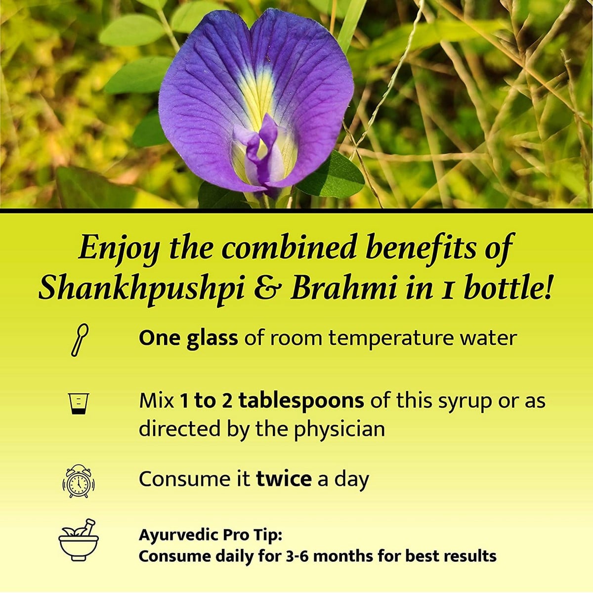 Baidyanath Shankhapushpi Sharbat (450 ml)