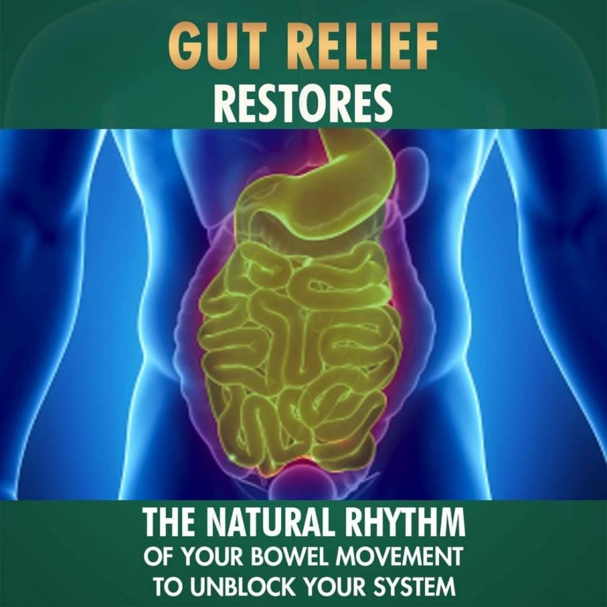 Baidyanath Vansaar Gut Relief (200 gm)