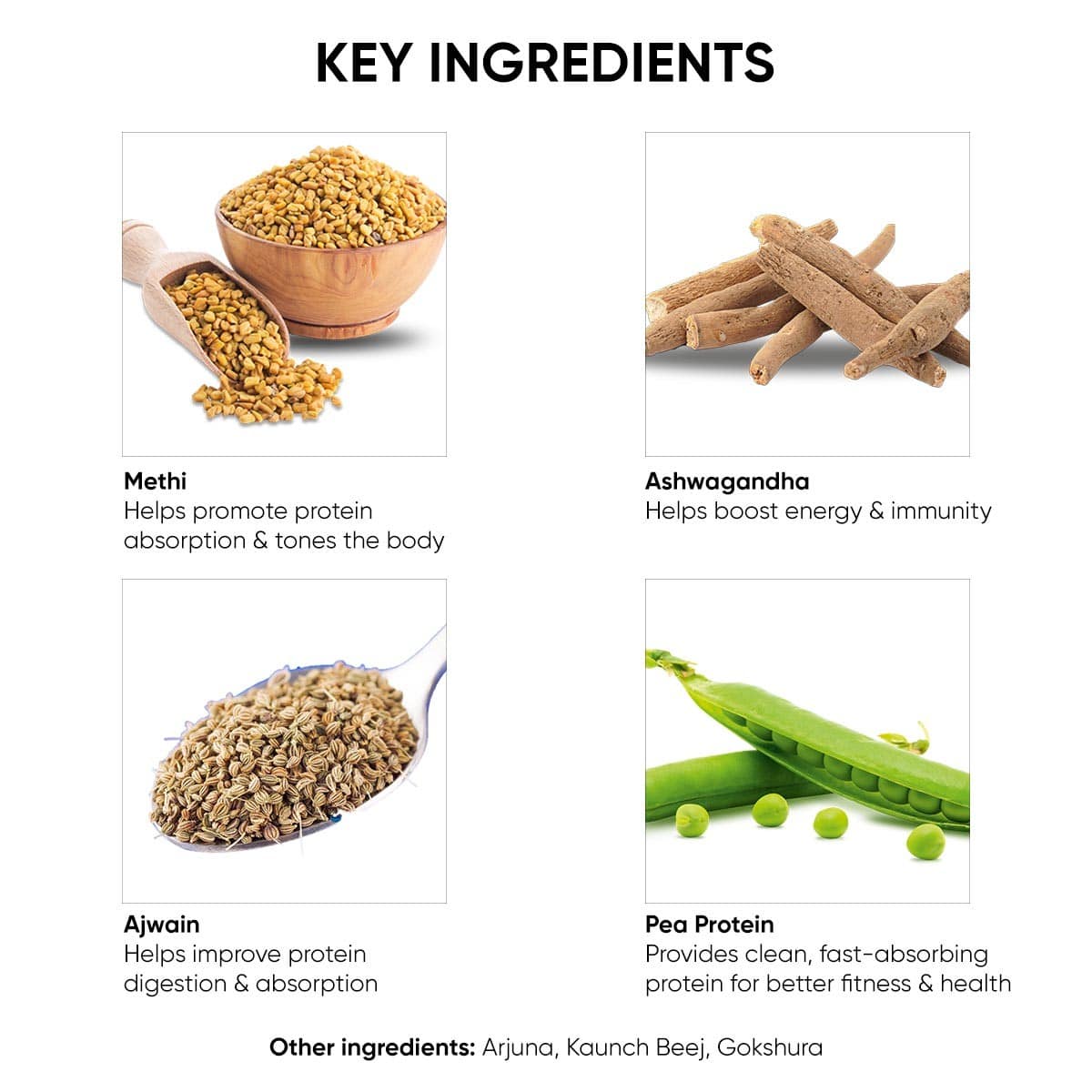 Dr. Vaidya's Plant Protein For Cookies & Cream Flavour (500 gm)