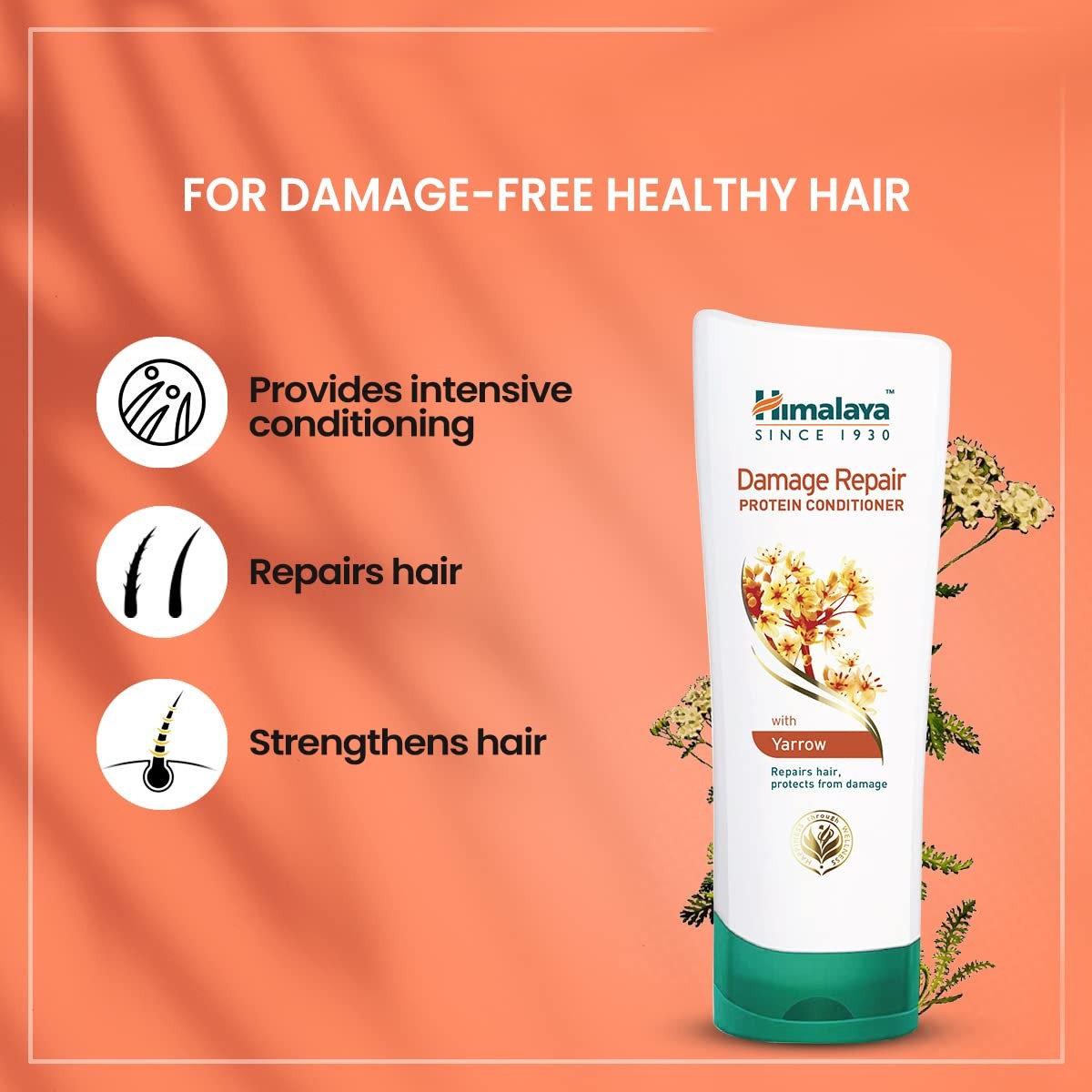 Himalaya Damage Repair Protein Conditioner (200 ml)