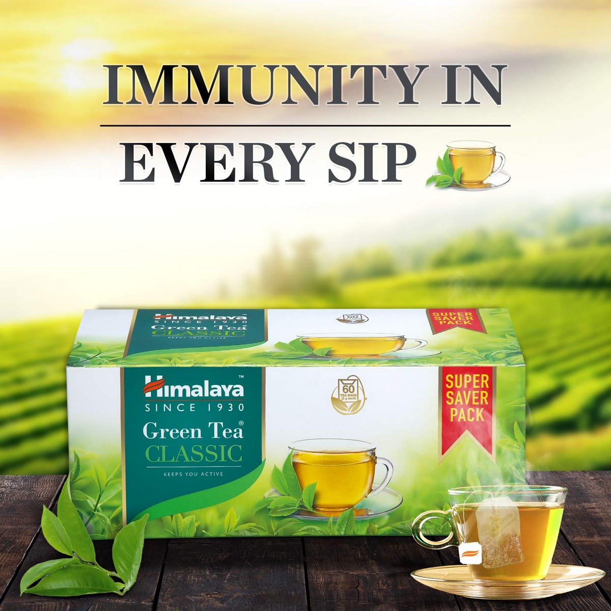 Himalaya Green Tea (60 Tea Bags)