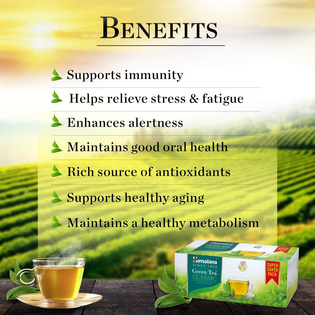 Himalaya Green Tea (60 Tea Bags)