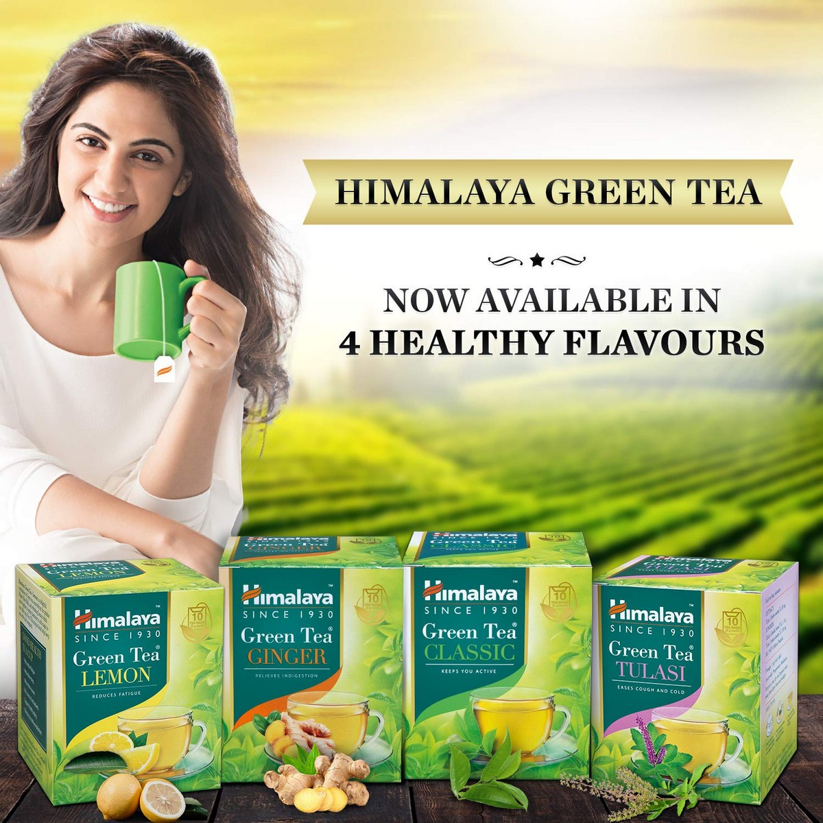 Himalaya Green Tea (60 Tea Bags)