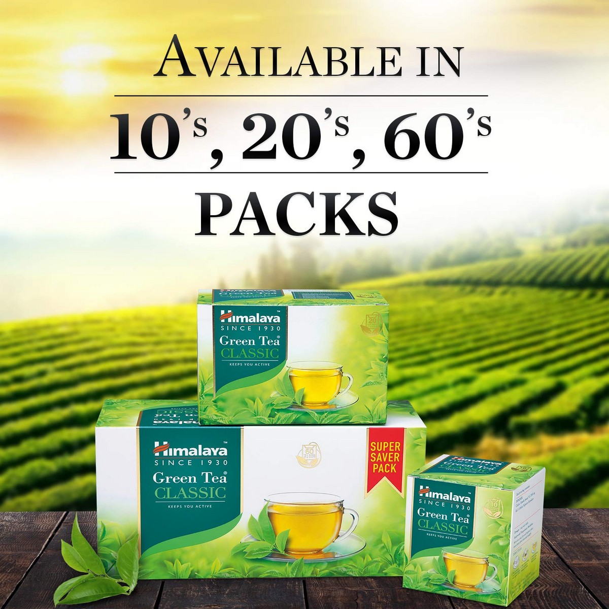 Himalaya Green Tea (60 Tea Bags)