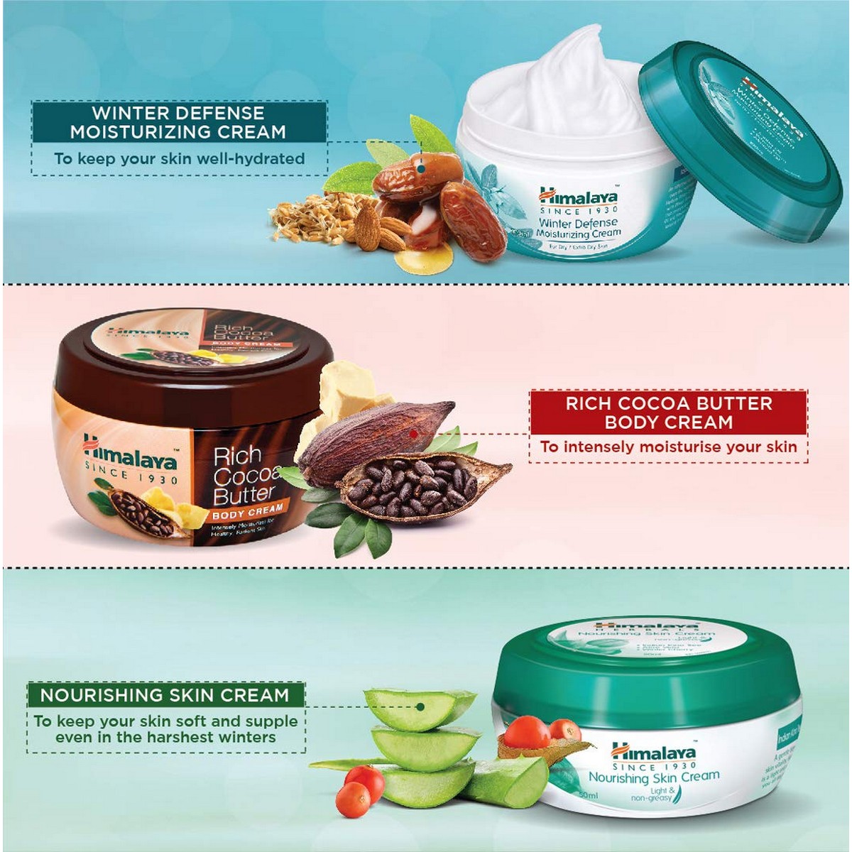 Himalaya Nourishing Skin Cream (100 ml)