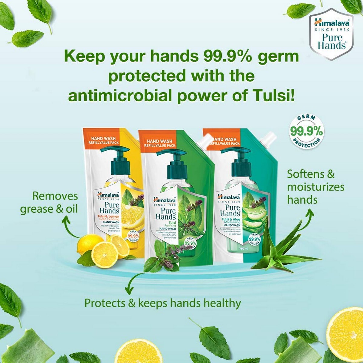 Himalaya Pure Hands Tulsi Purifying Hand Wash (750ml)