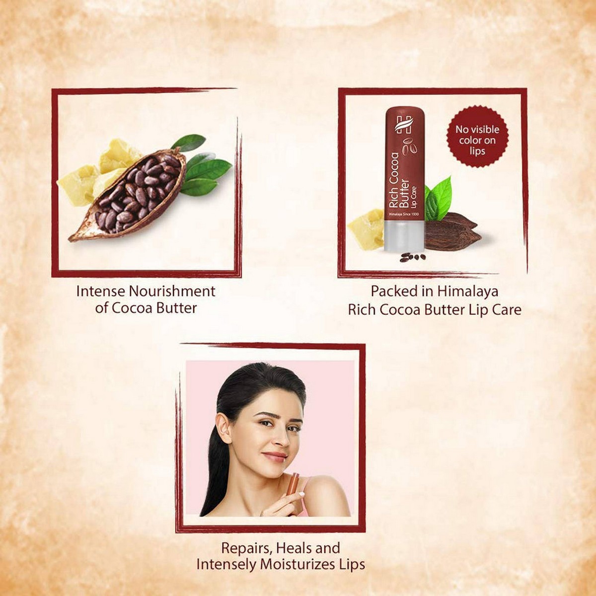 Himalaya Rich Cocoa Butter Lip Care (4.5 gm)