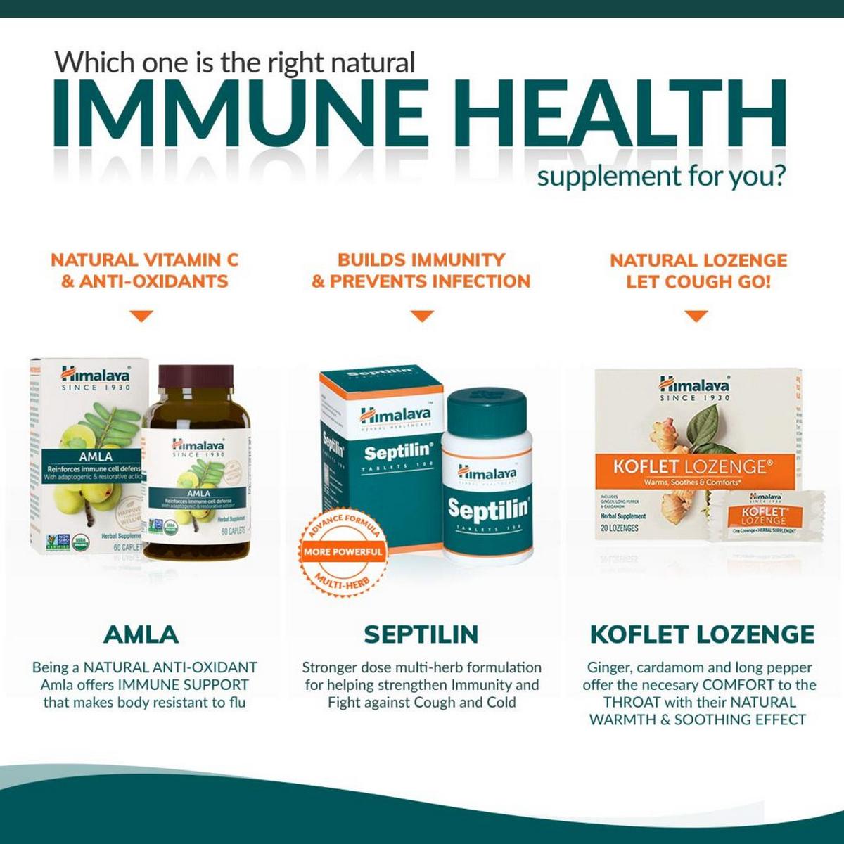 Himalaya Wellness Pure Herbs Amalaki Immunity Wellness (60 Tablets)