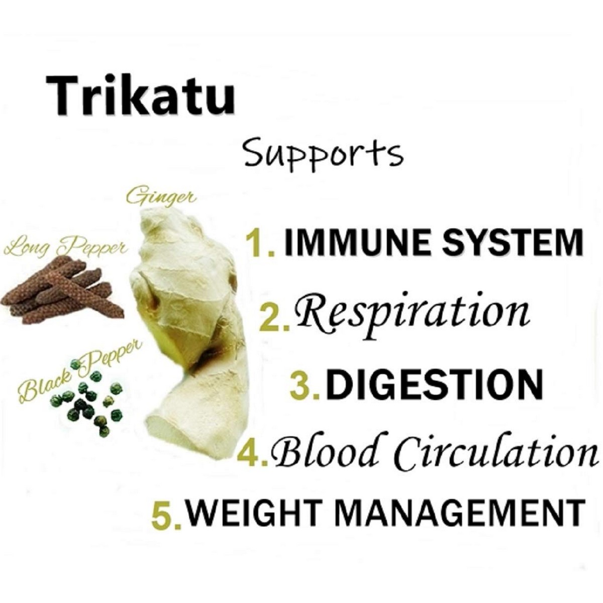 Himalaya Wellness Pure Herbs Trikatu Digestive Wellness (60 Tablet)
