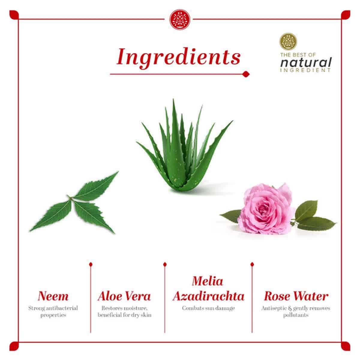 Khadi Natural Anti Germ Rose Handwash (300 ml)