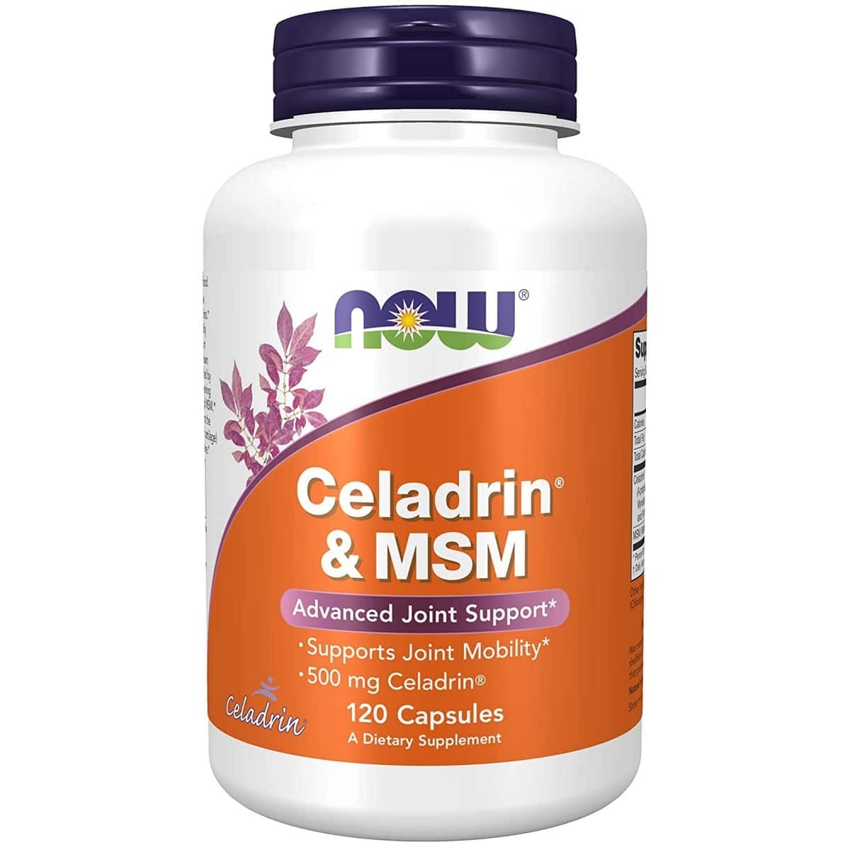 NOW Foods Celadrin and Msm 500mg (120 capsules)