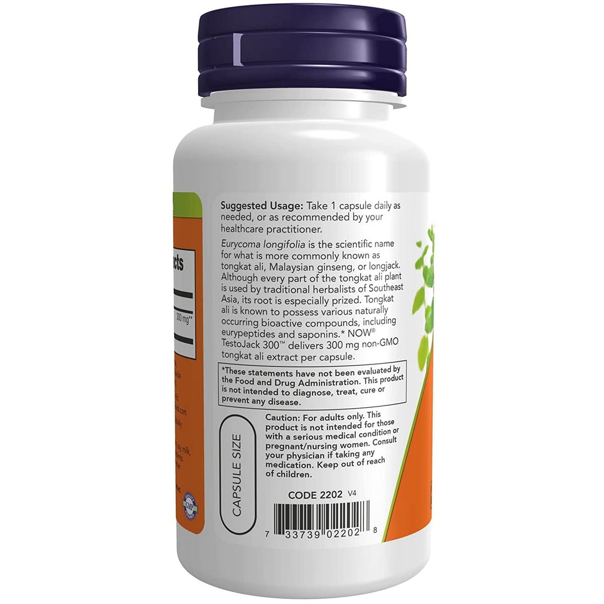 Now Foods TestoJack 300 (60 capsules)