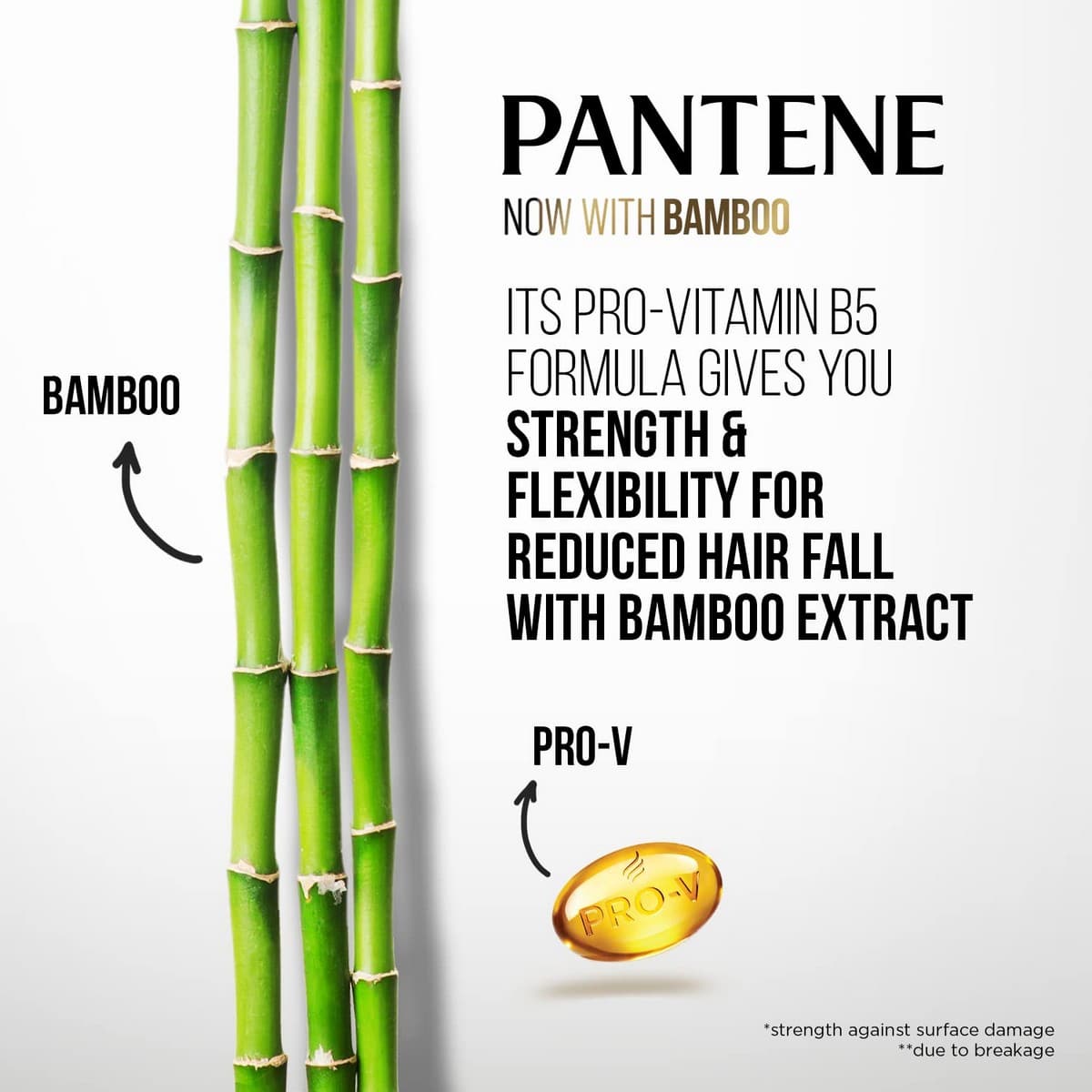 Pantene Advanced Hairfall Solution with Bamboo Shampoo (340 ml)