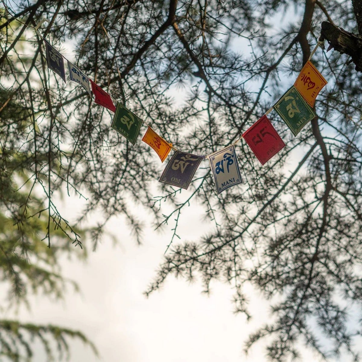 Tibetan Buddhist Prayer Flags