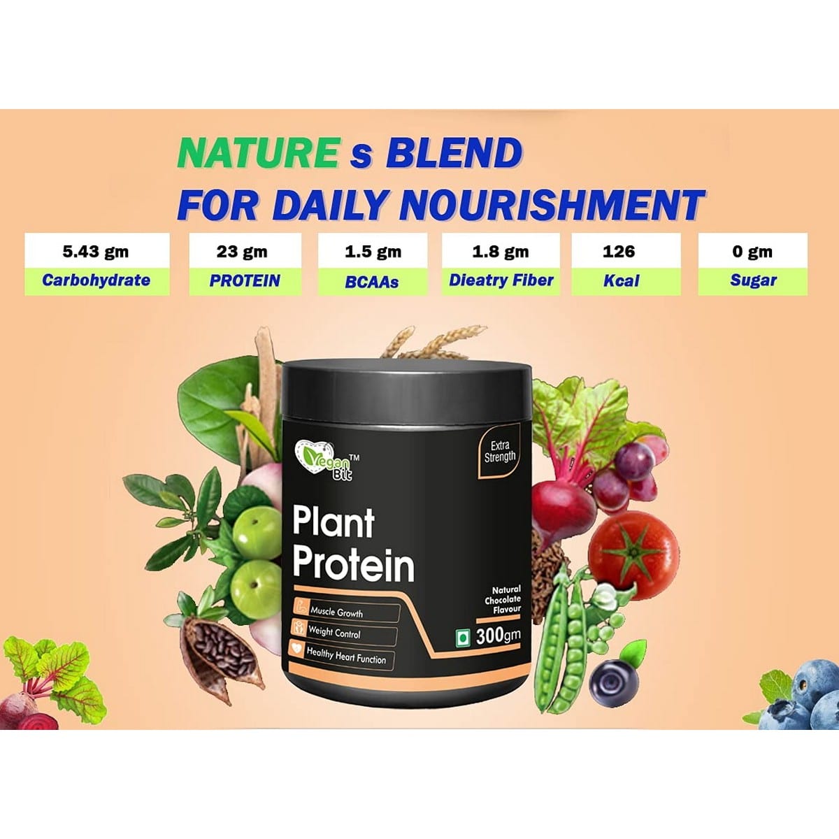 Vegan Bit 100% Plant Based Protein Powder (300 gm)