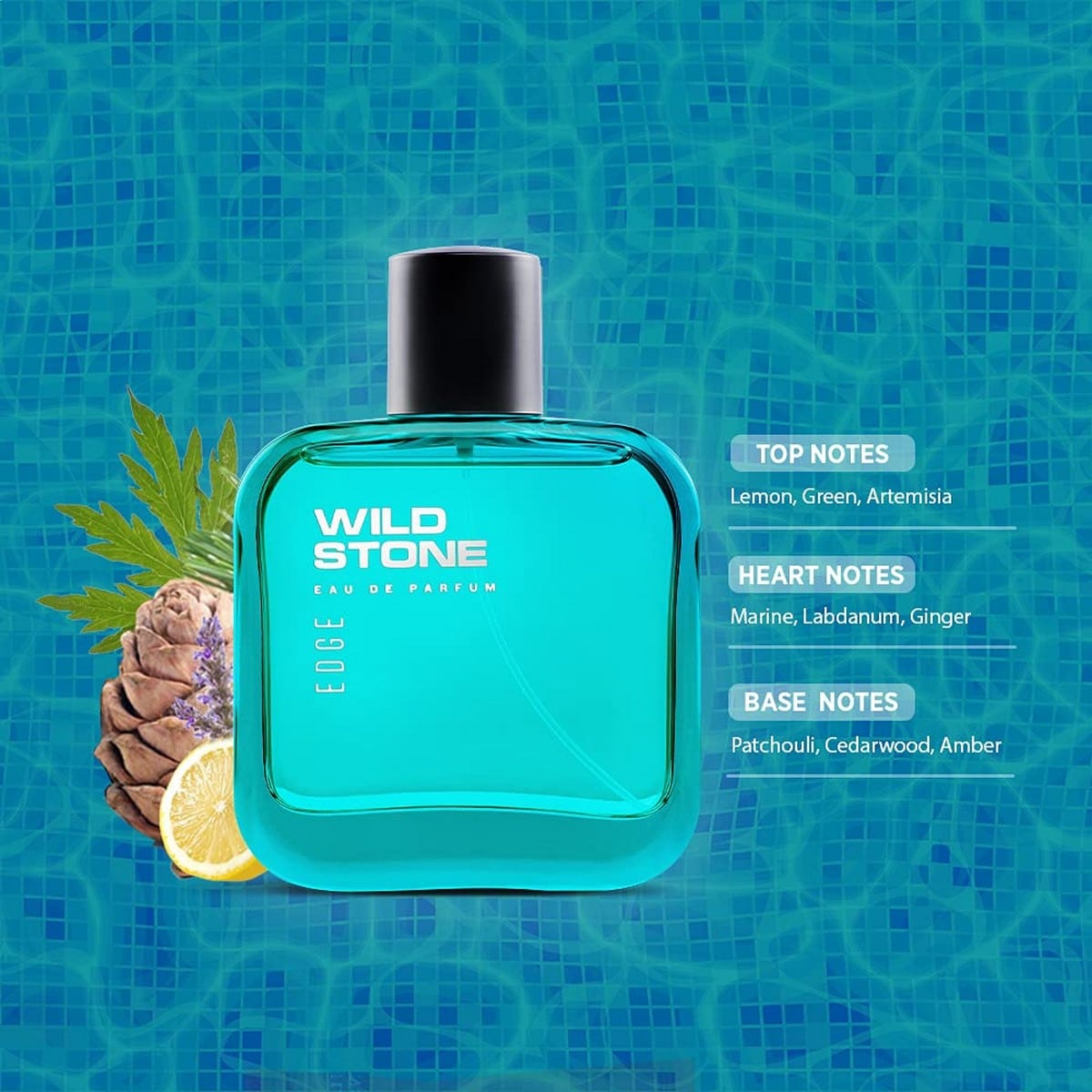 Wild Stone Edge Perfume for Men (50 ml)