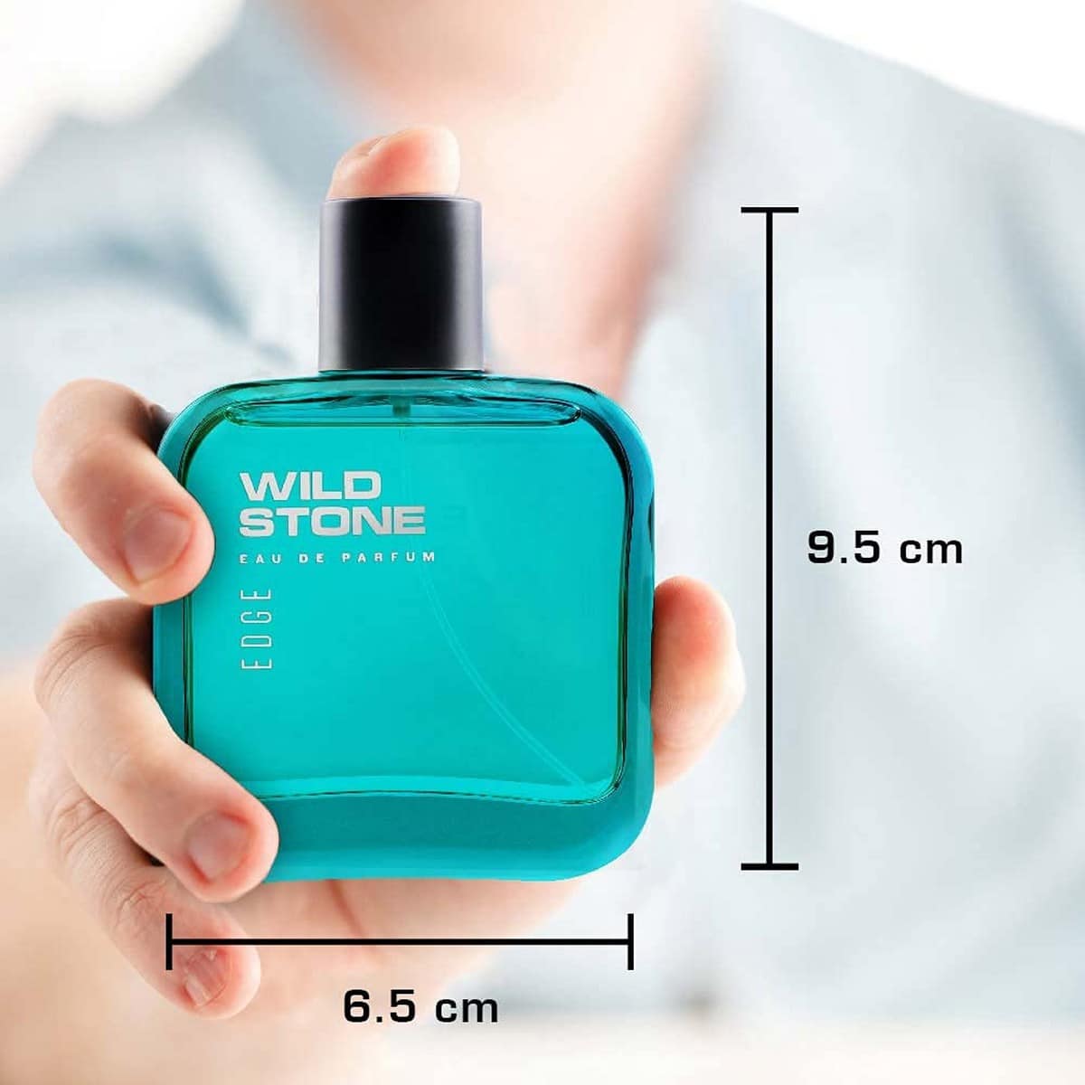 Wild Stone Edge Perfume for Men (50 ml)