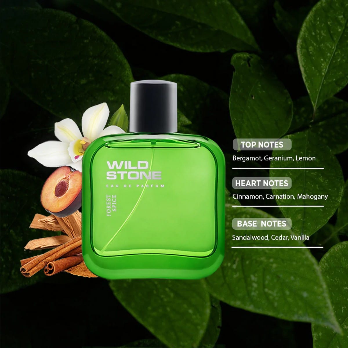Wild Stone Forest Spice Perfume (100ml)
