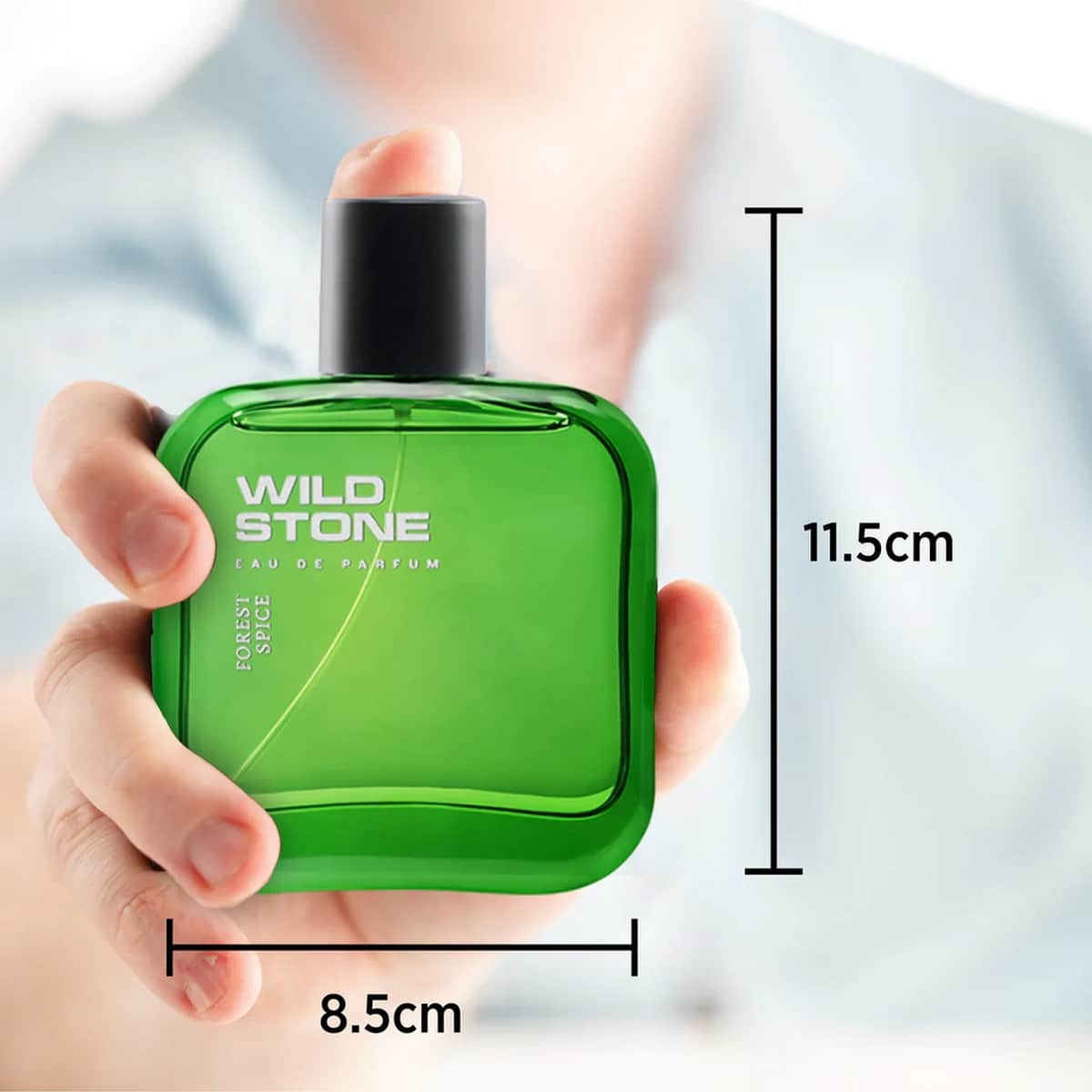 Wild Stone Forest Spice Perfume (100ml)
