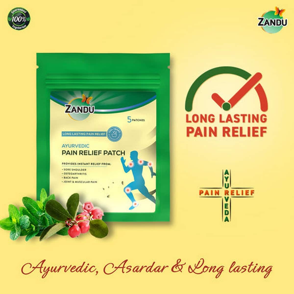 Zandu Ayurvedic Pain Relief Patch (Pack of 5 Patches)