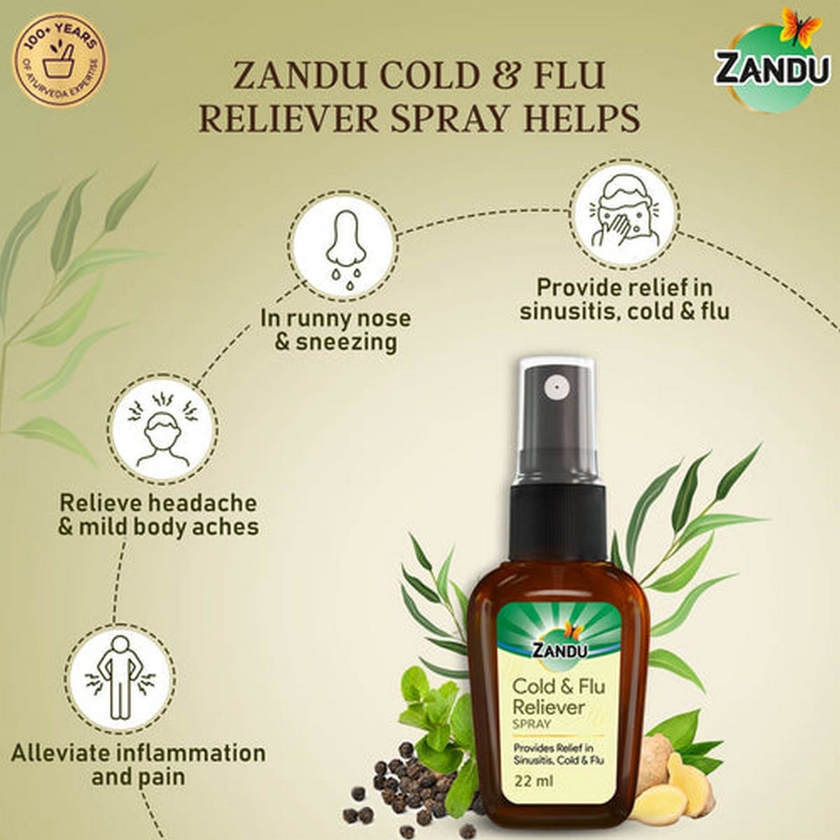 Zandu Cold & Flu Reliever Spray (22 ml)