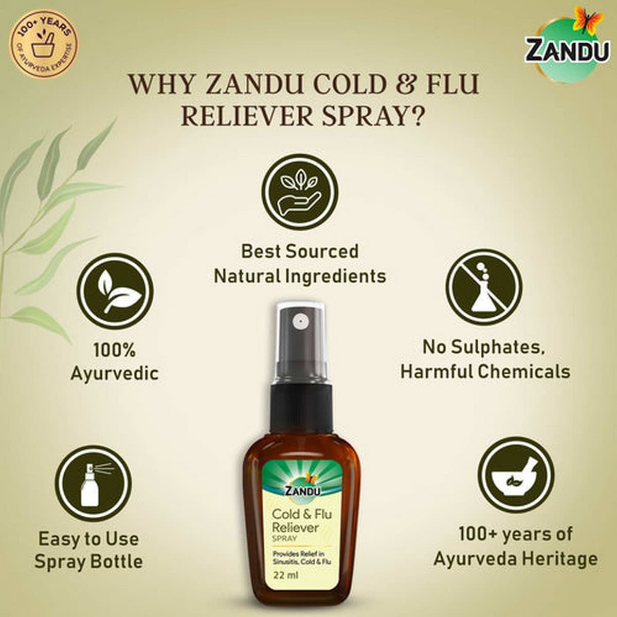 Zandu Cold & Flu Reliever Spray (22 ml)
