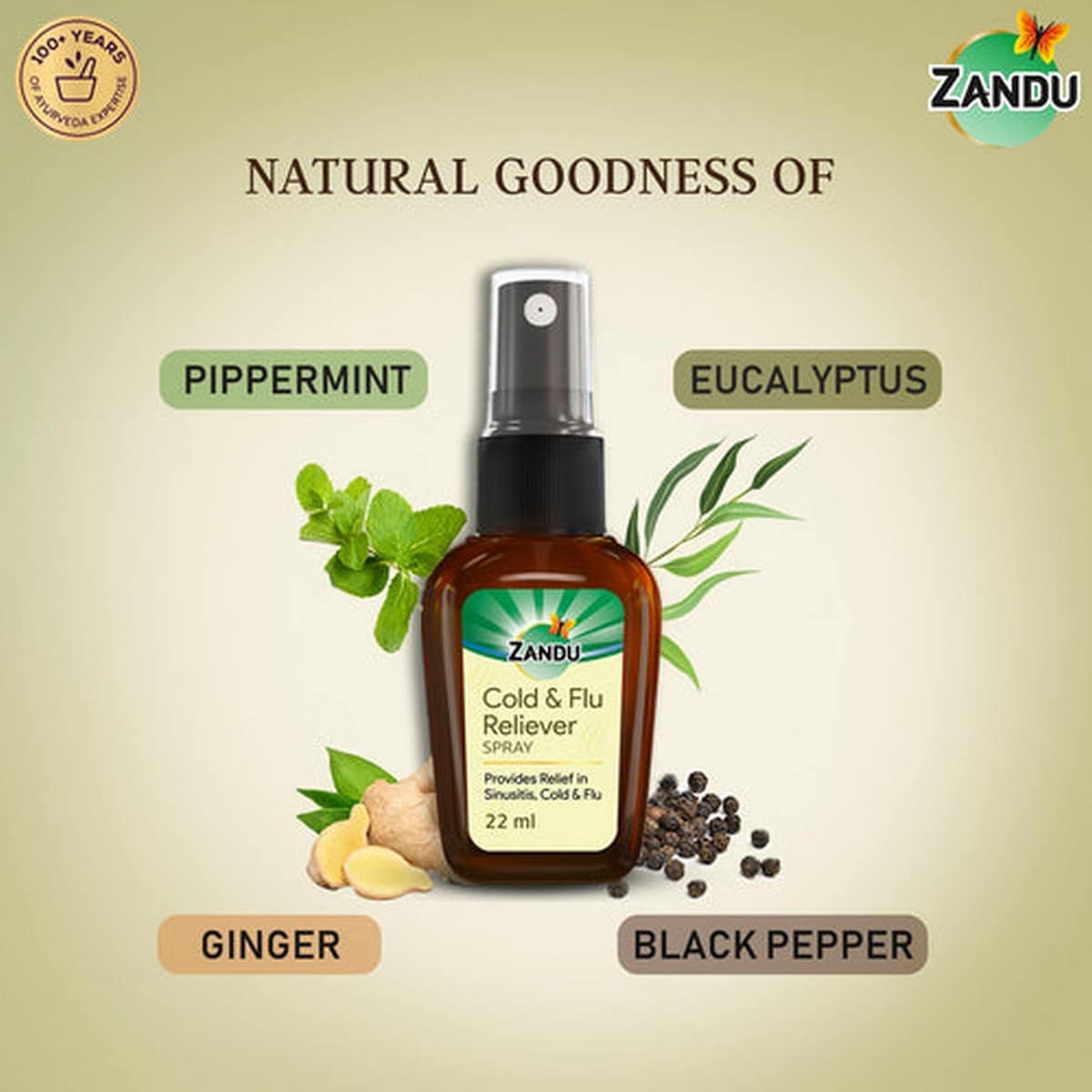 Zandu Cold & Flu Reliever Spray (22 ml)