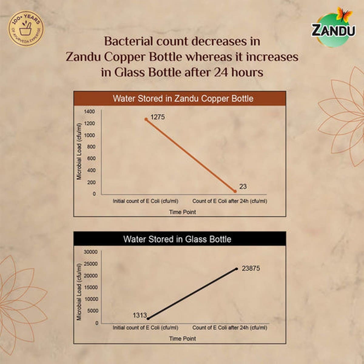 Zandu Copper Bottle (950 ml)